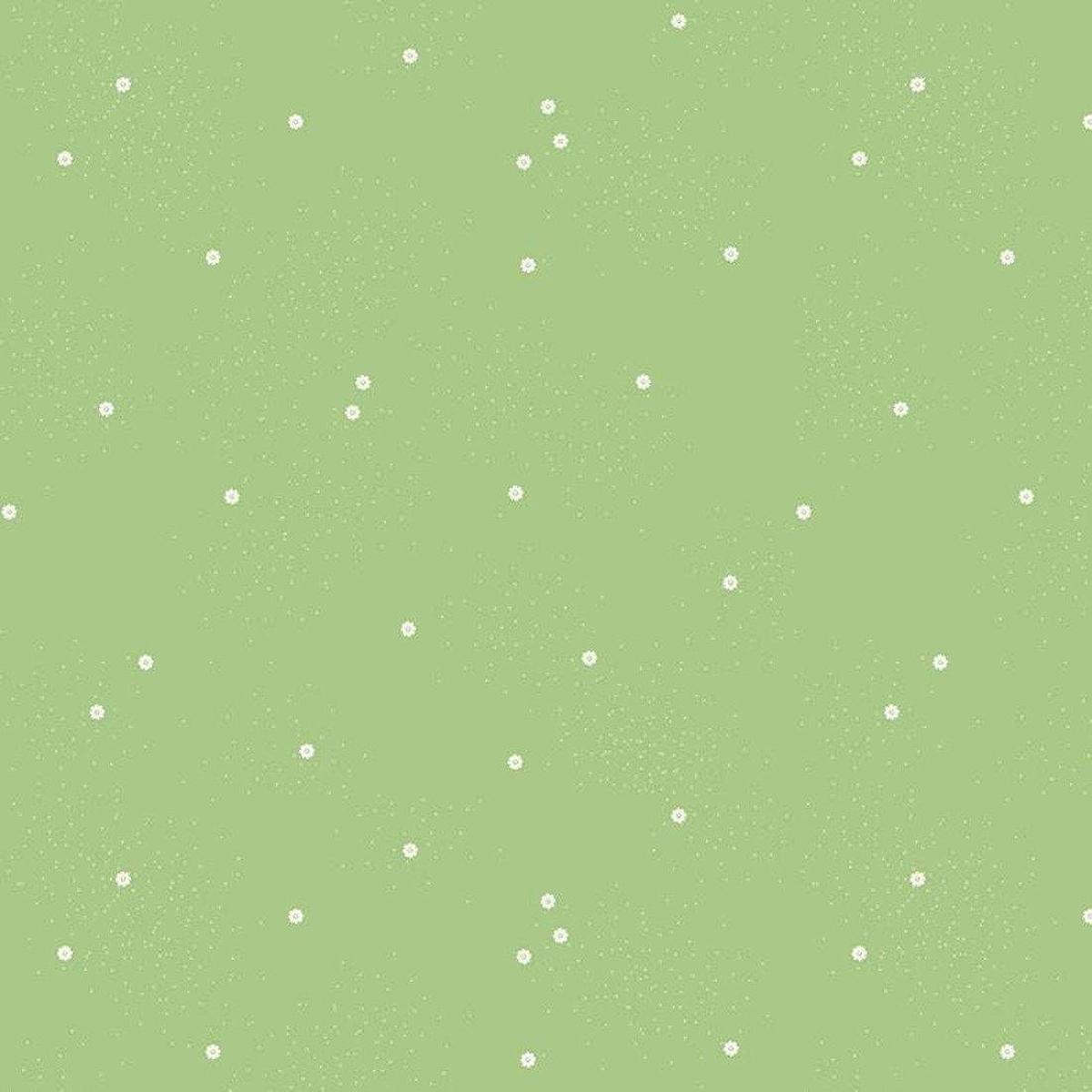 Dainty Daisy - Grass