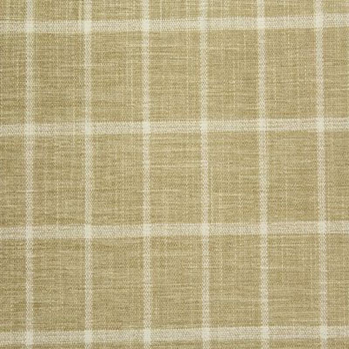 Montparnasse Midas Swavelle Mill Creek Fabric
