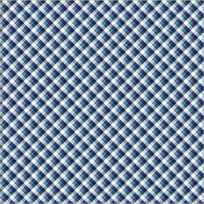 Fabric Windham Sky Picnic Gingham Front Porch by the Quarter Yard 54863-8