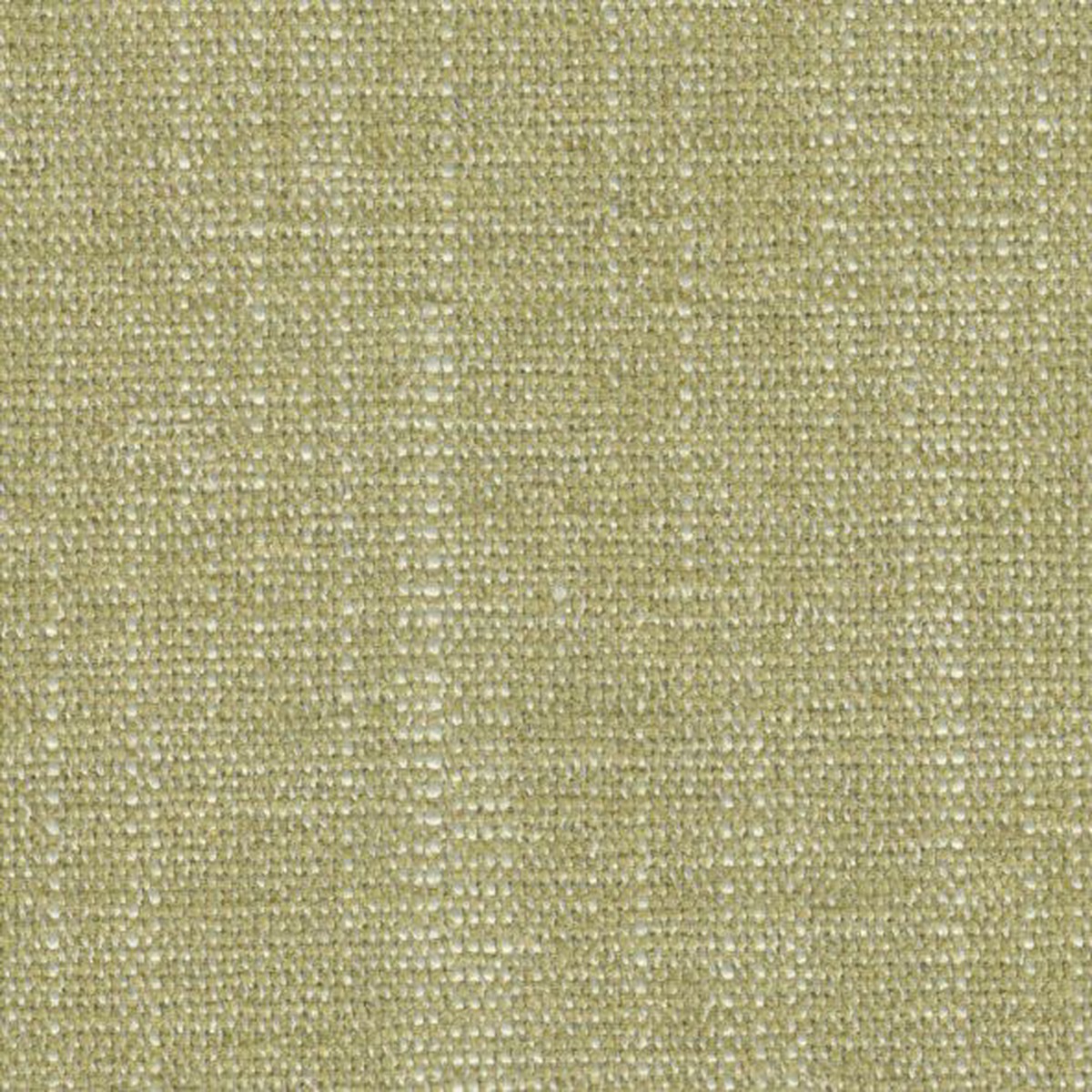 Castle Fern Crypton Fabric