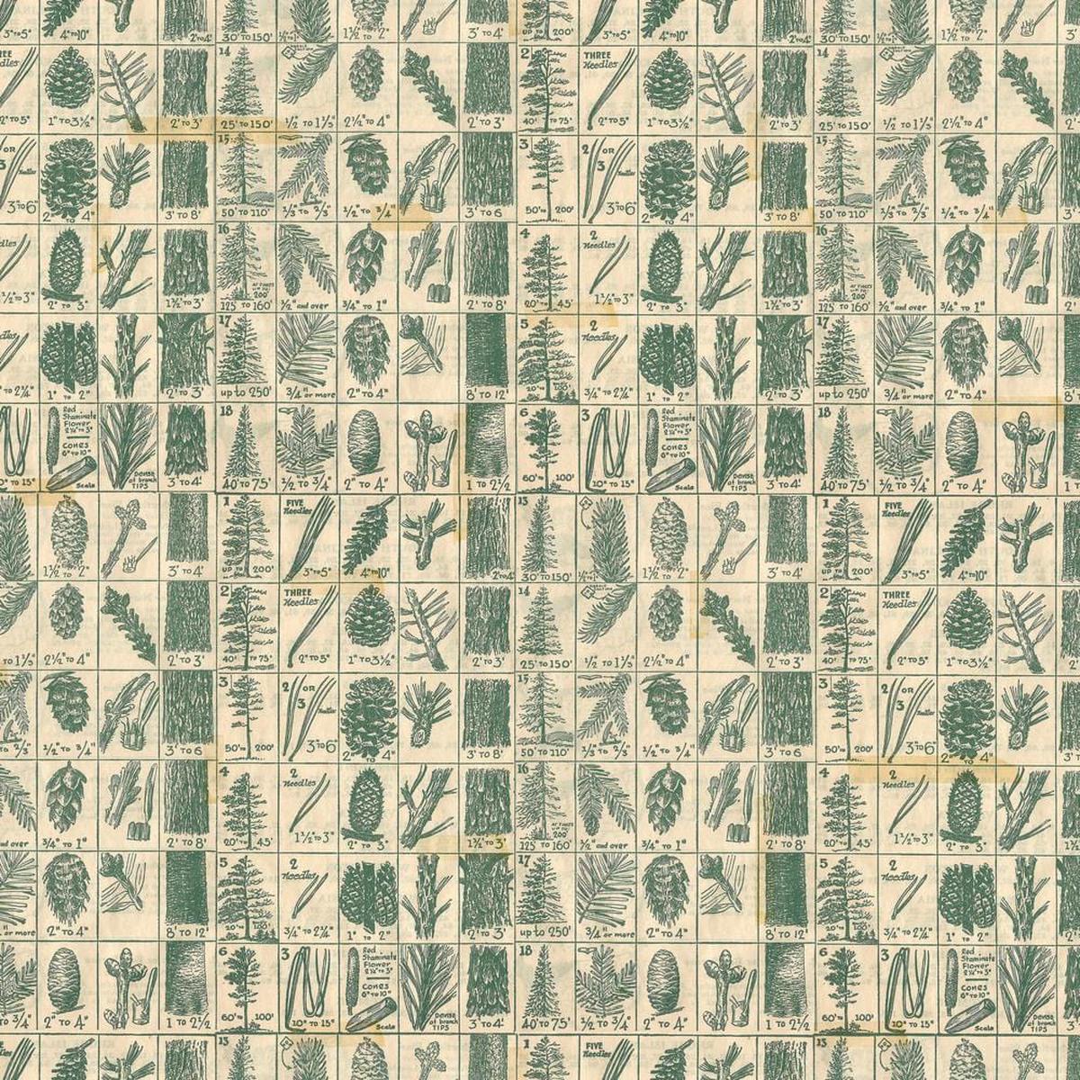 Holidays Past - Pine Chart Green