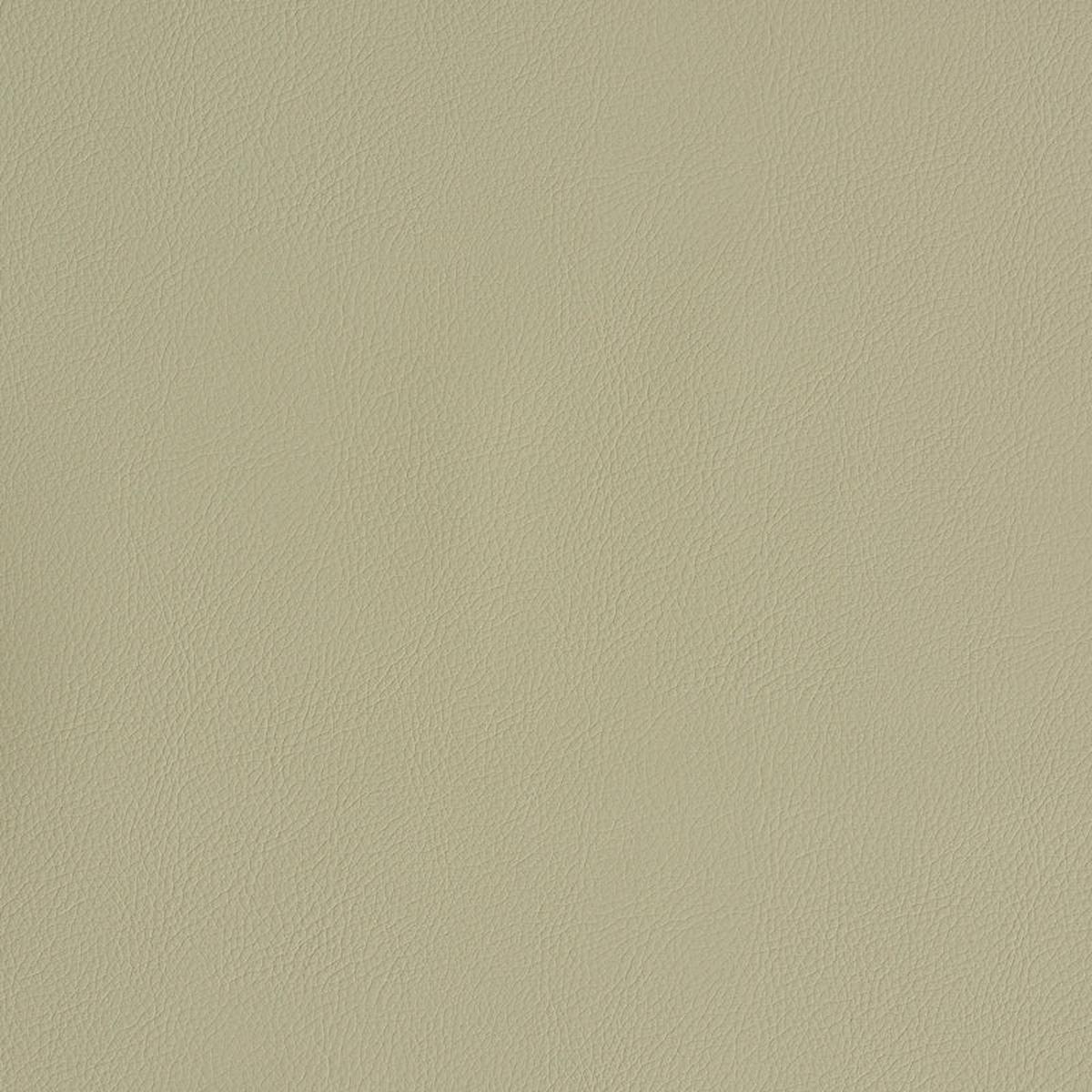Vegan Leather Indoor Outdoor Dune Fabric