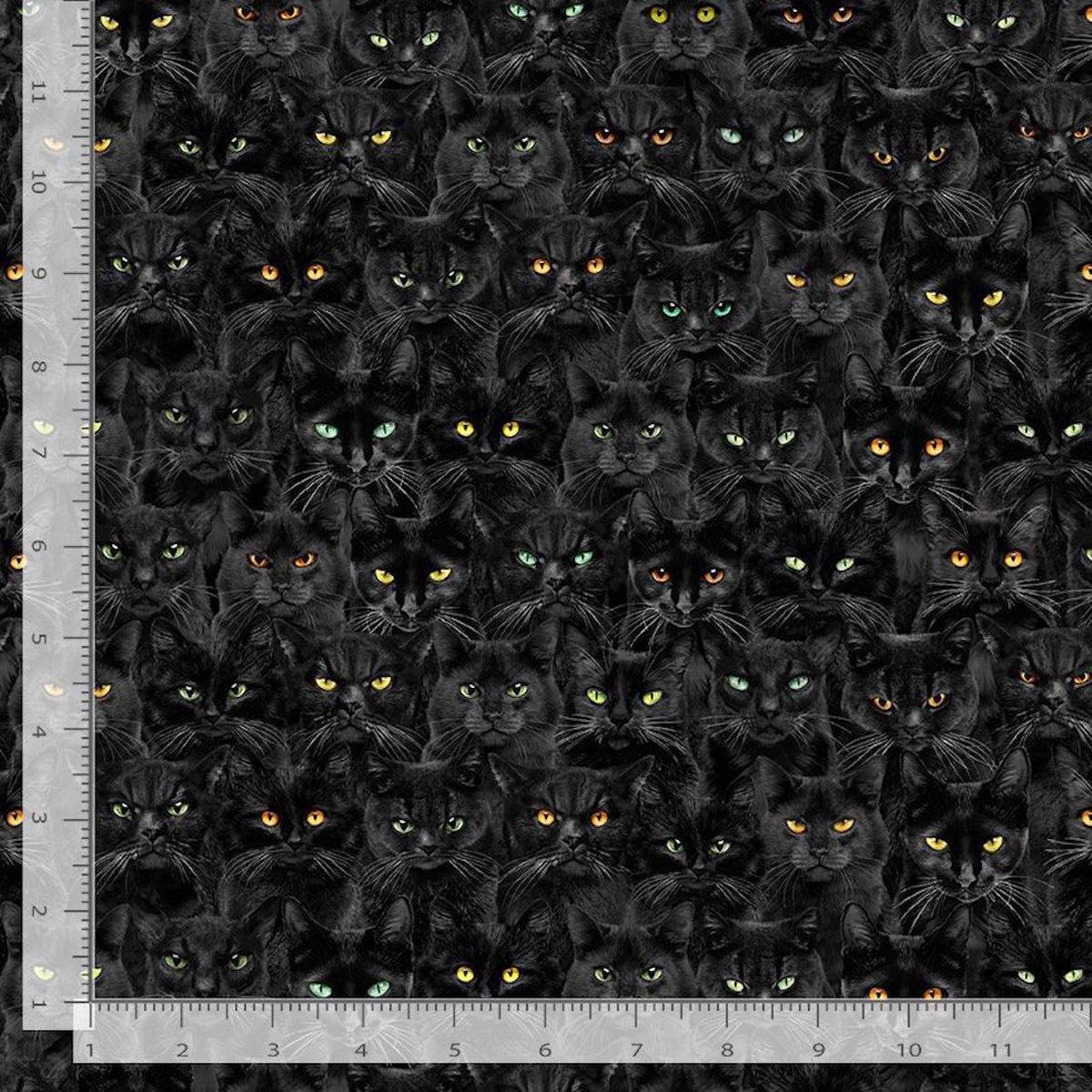 Black Cats Magic by TT Studio
