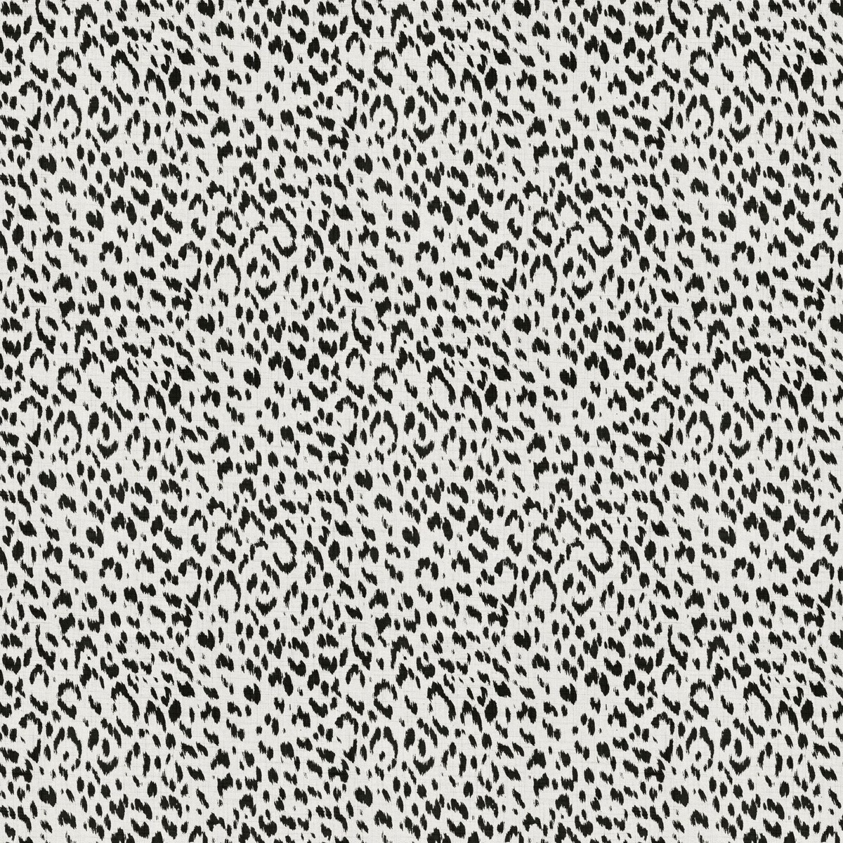 Artesia (Fc) - Echo - Black & White