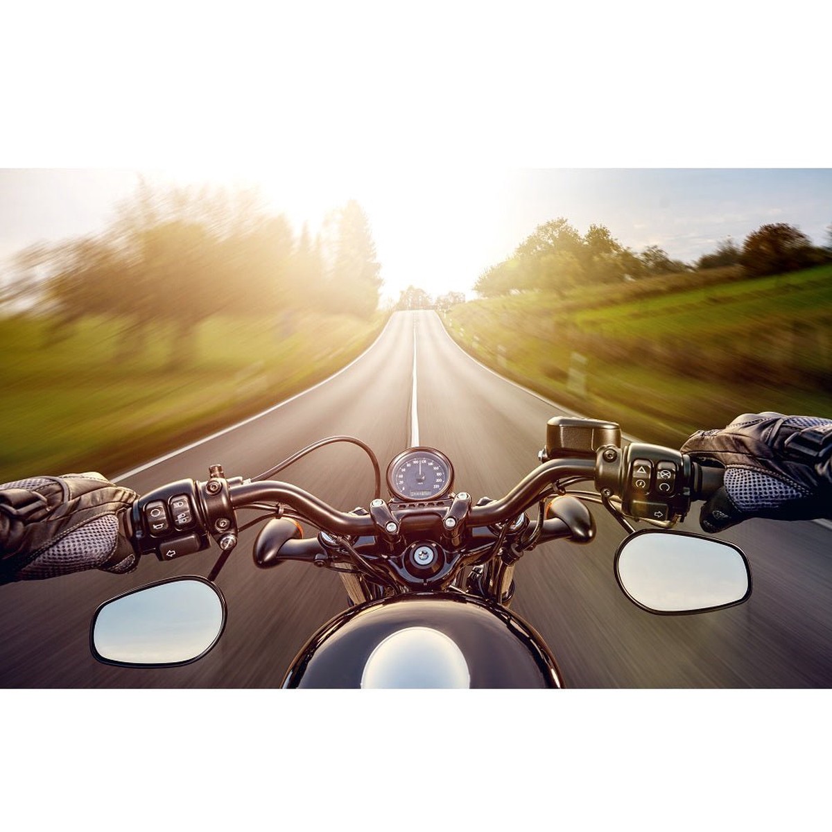 Realistic Morning Ride Fabric Panel