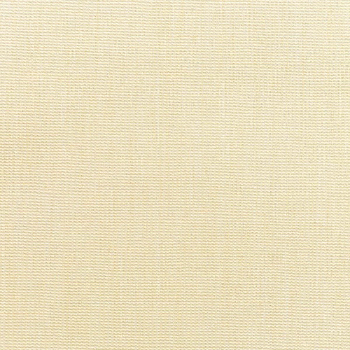Canvas - Sunbrella -Vellum 5498-0000 RM Coco Fabric