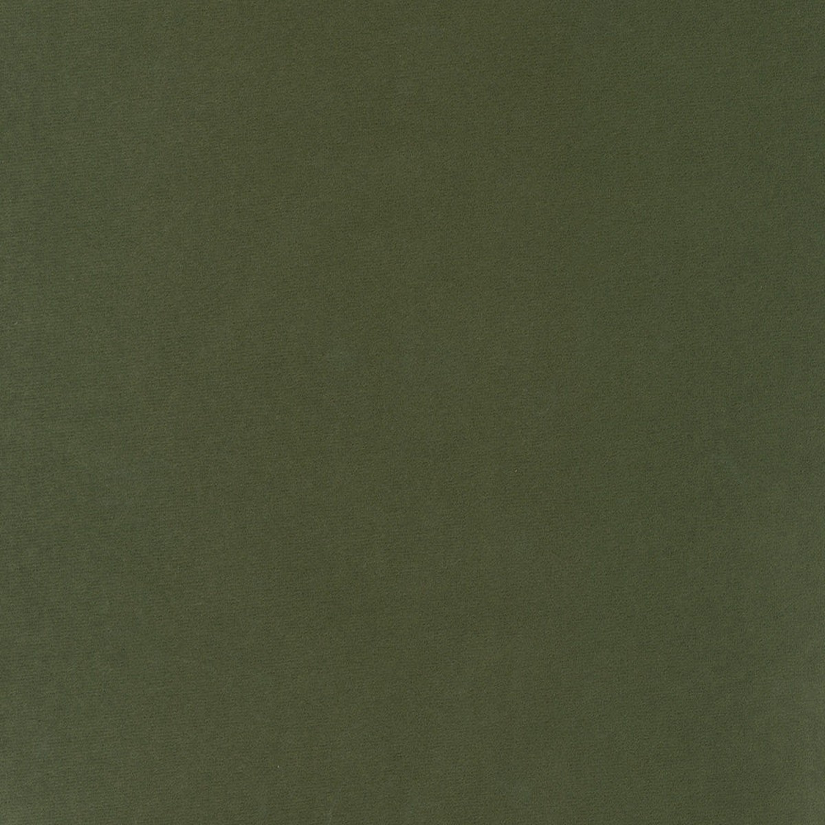 Map Dill Regal Fabric