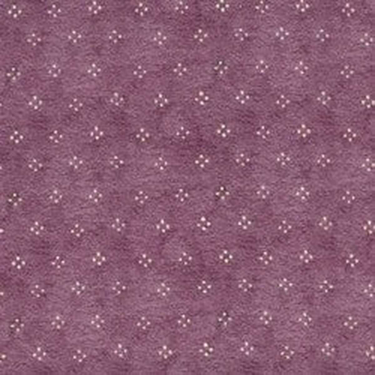Michael Miller - Bearly Dot, Purple