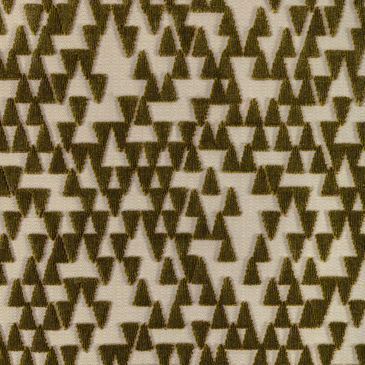 Points Of View Artichoke Fabric