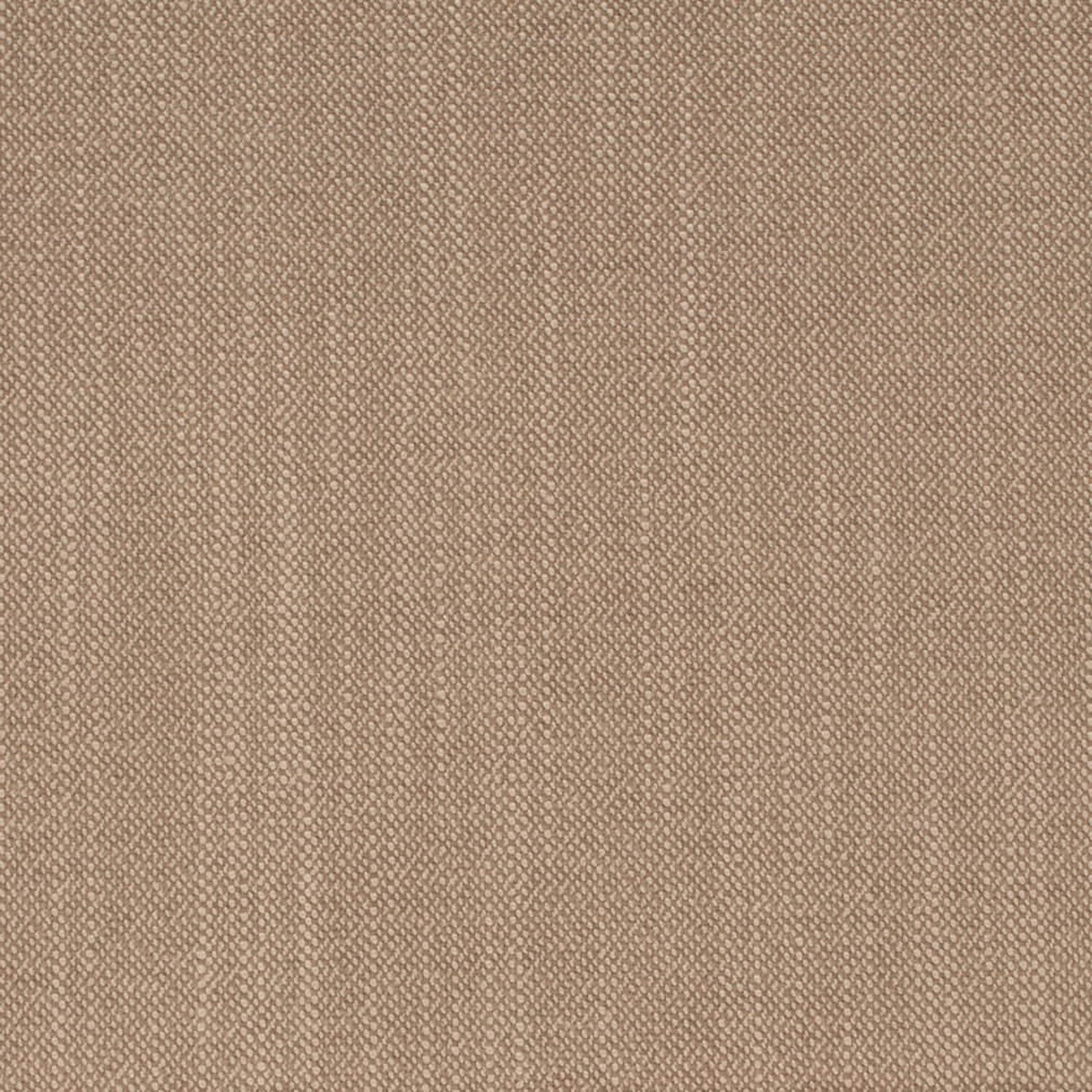 D4259 Plain & Solid Oatmeal Beige & Taupe Charlotte Fabrics