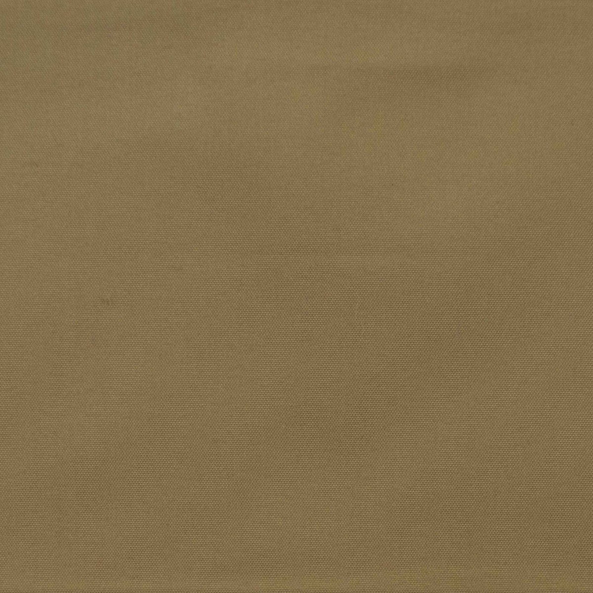 Eclipse Gold Europatex Fabric