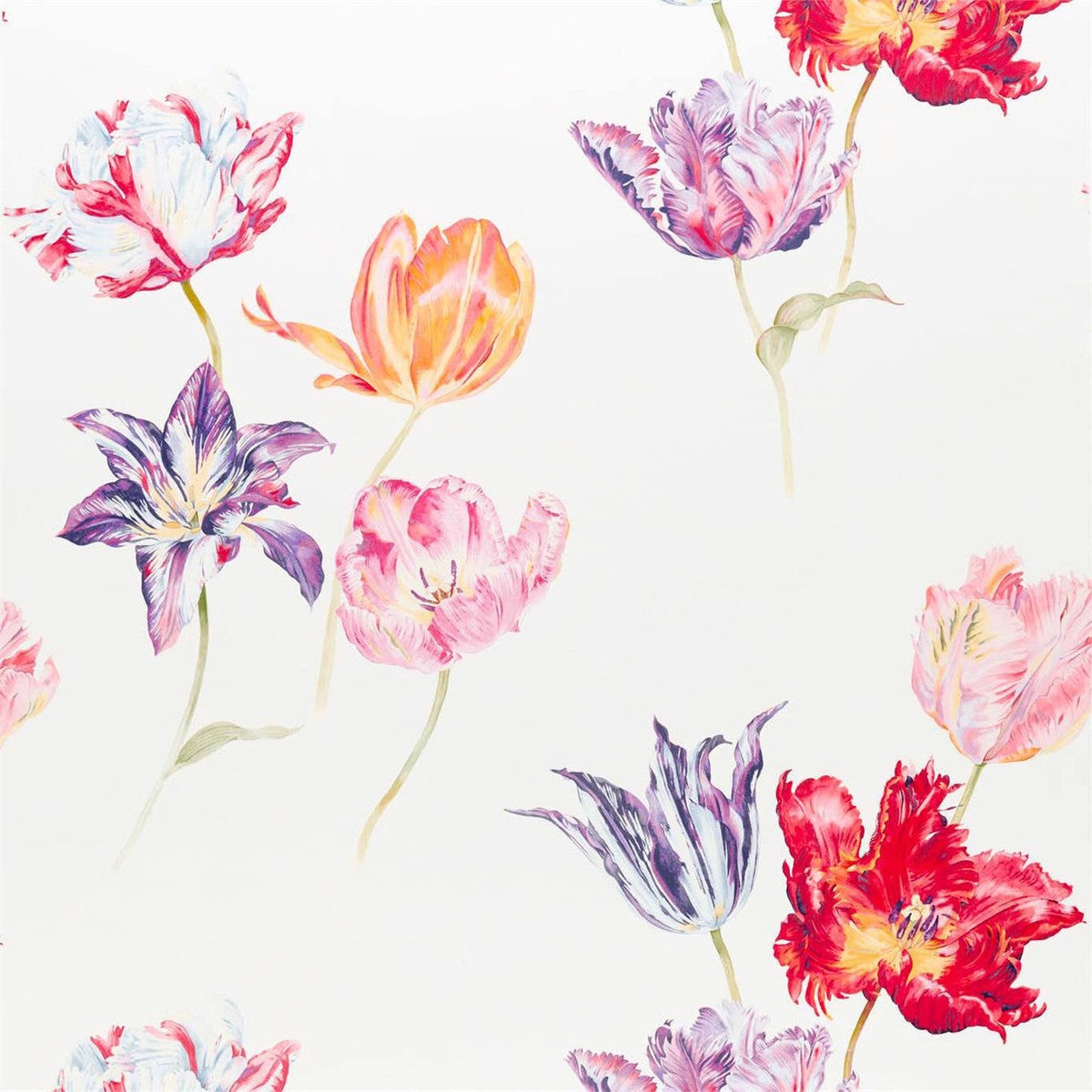 Tulipomania Glasshouse Tulipomania Botanical Fabric by Sanderson