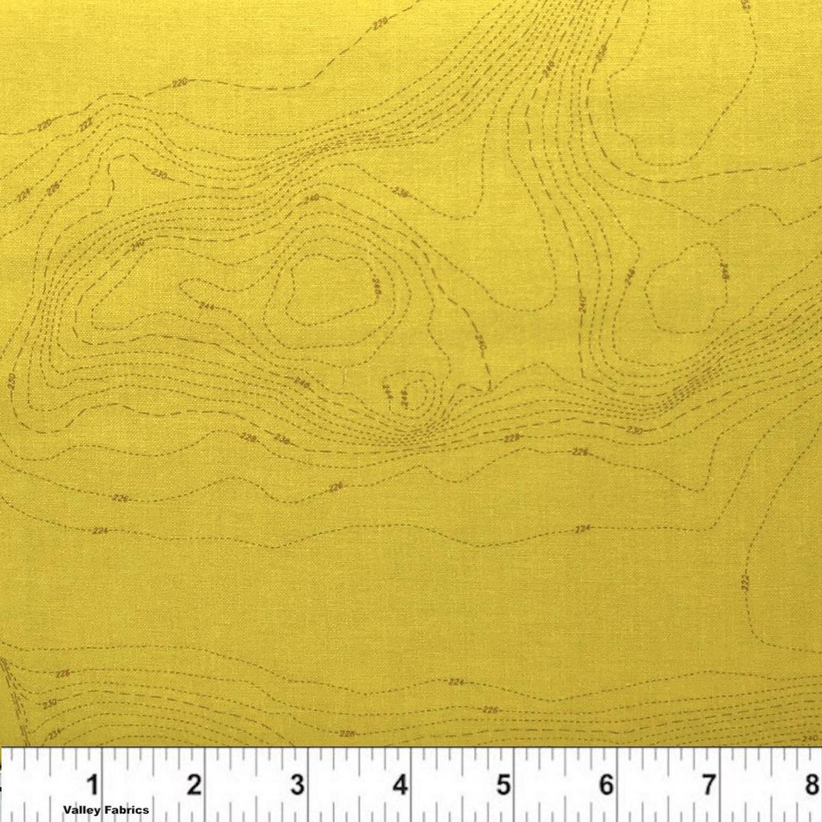 Topography Lemon by Alison Glass
