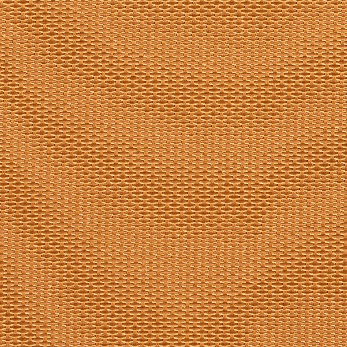Charlotte Bullion Fabric 1717