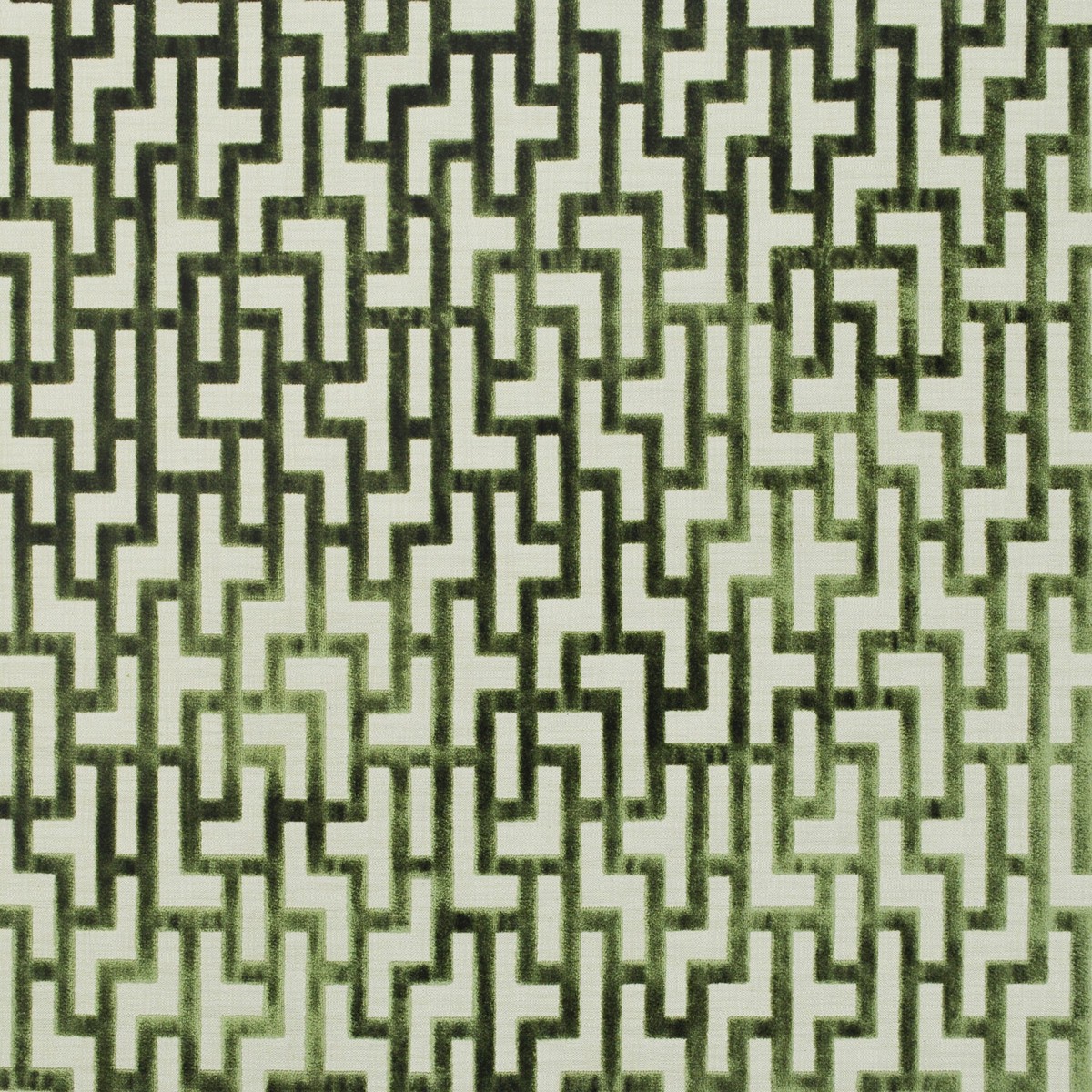 Aphrodite Olive P/Kaufmann Fabric