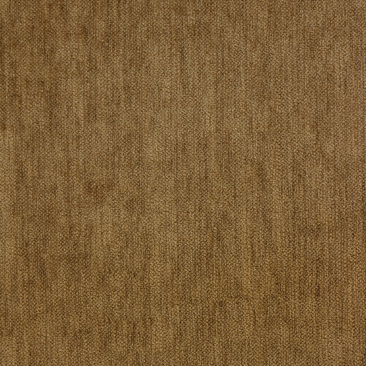 Daneelz Amber Richloom Fabric