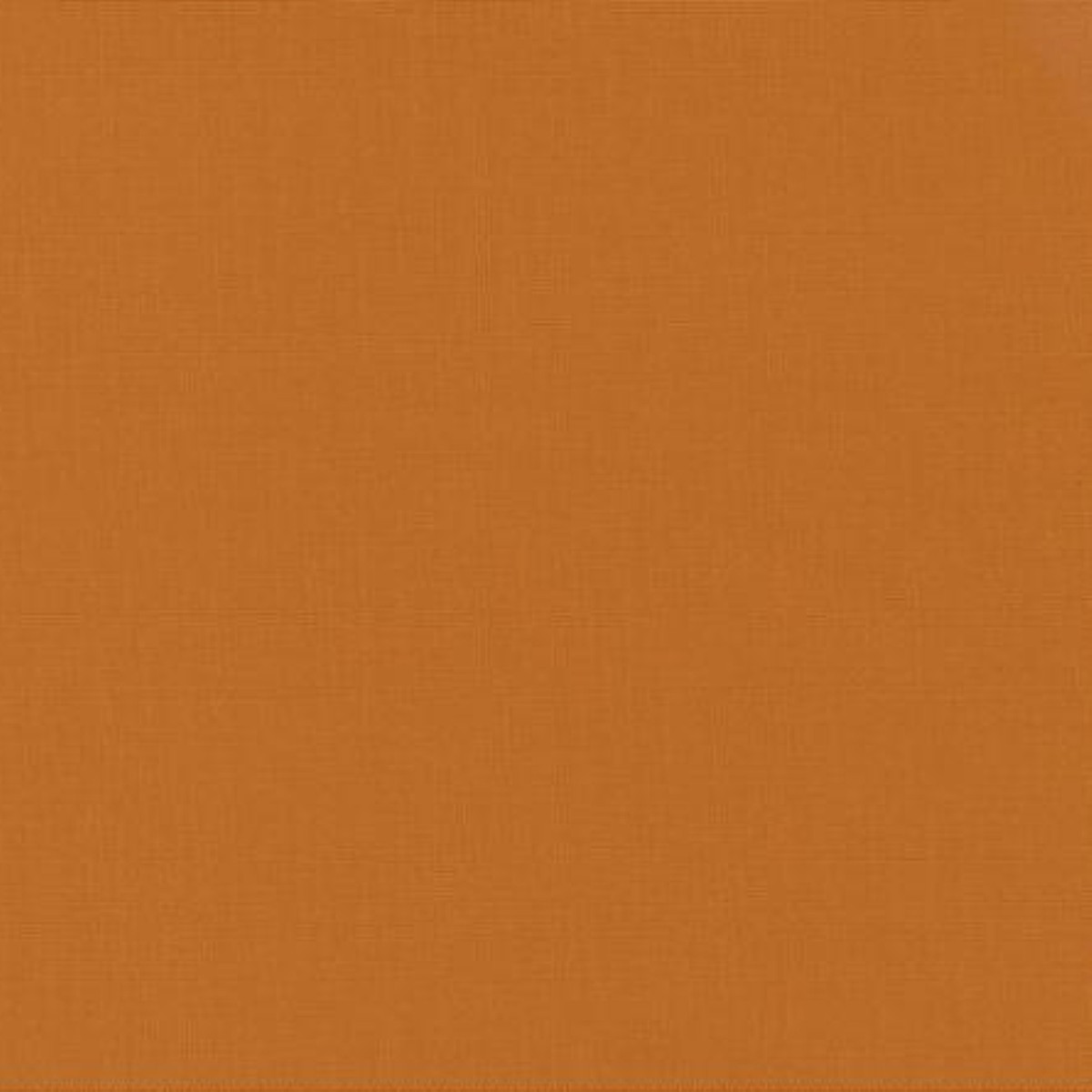 Bella Solids - Amber