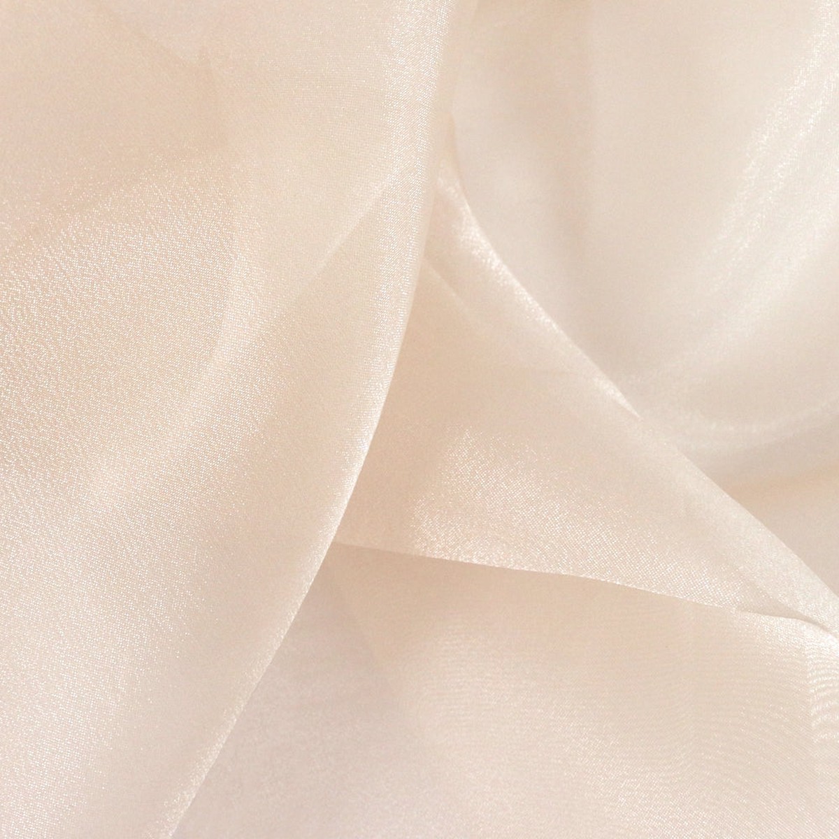 Clichy Organza - Powder Puff