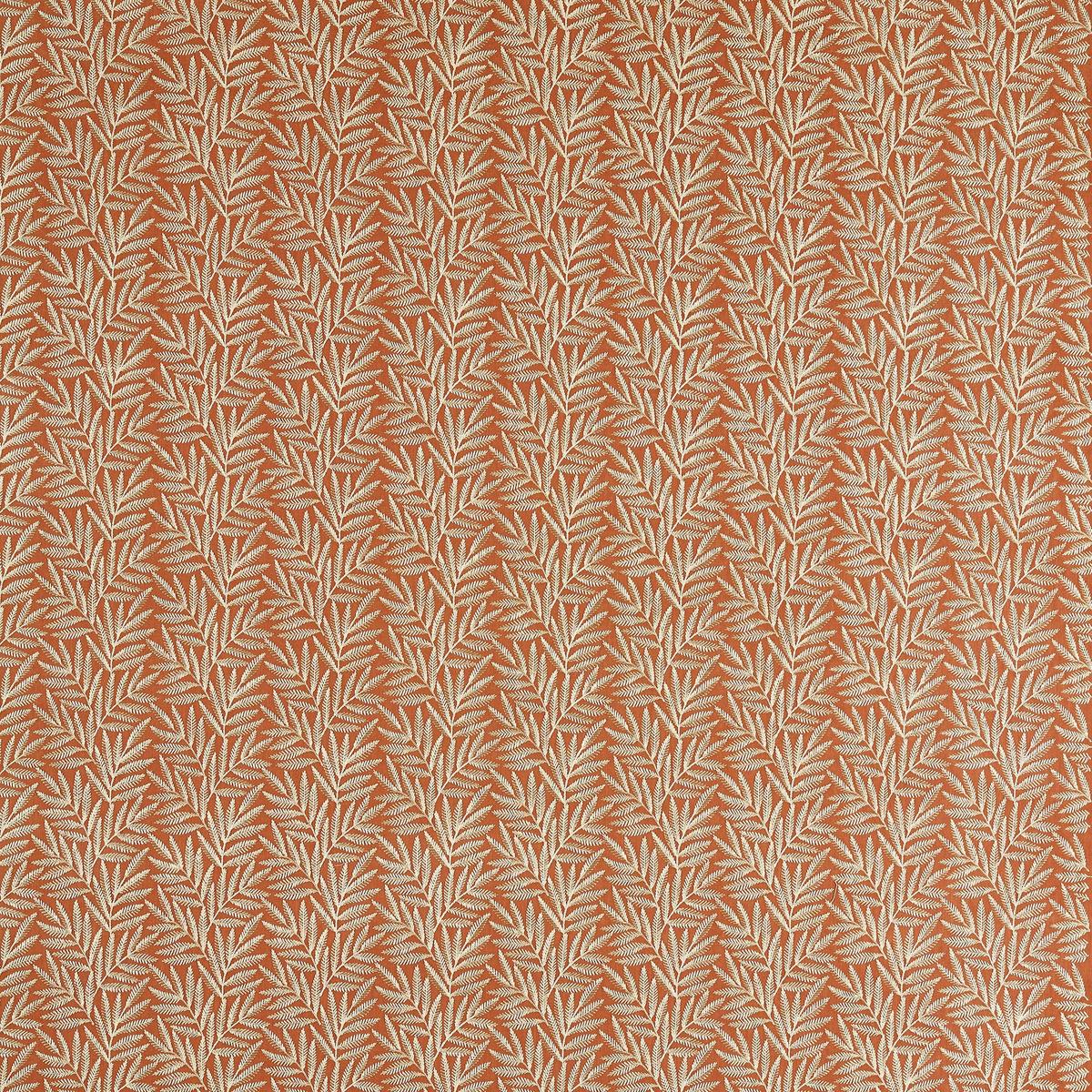VIrgata Cinnamon Expressions Fabric by Clarke & Clarke
