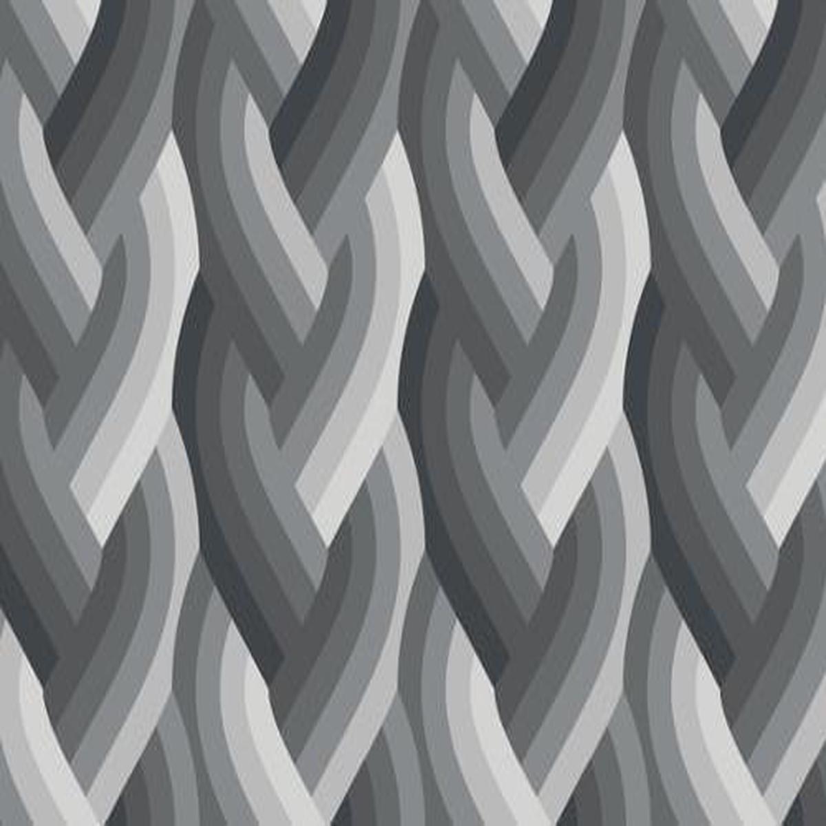 Moda Fabrics Echo Braid Black 42380 14