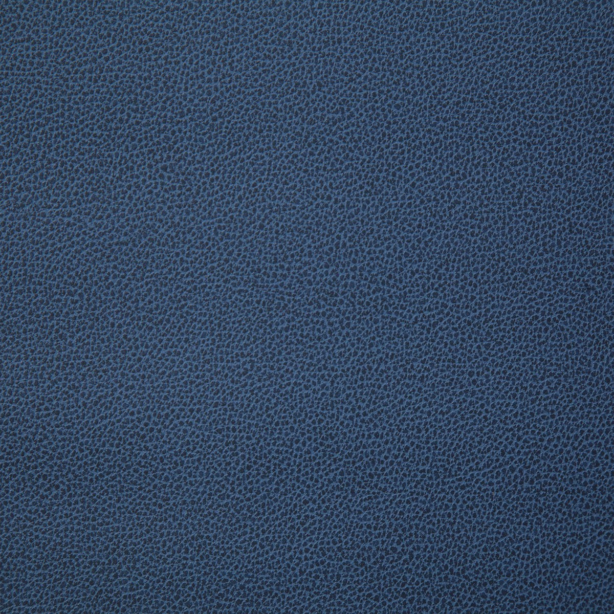 8078 LASSO-HARBOR - Pindler Fabric