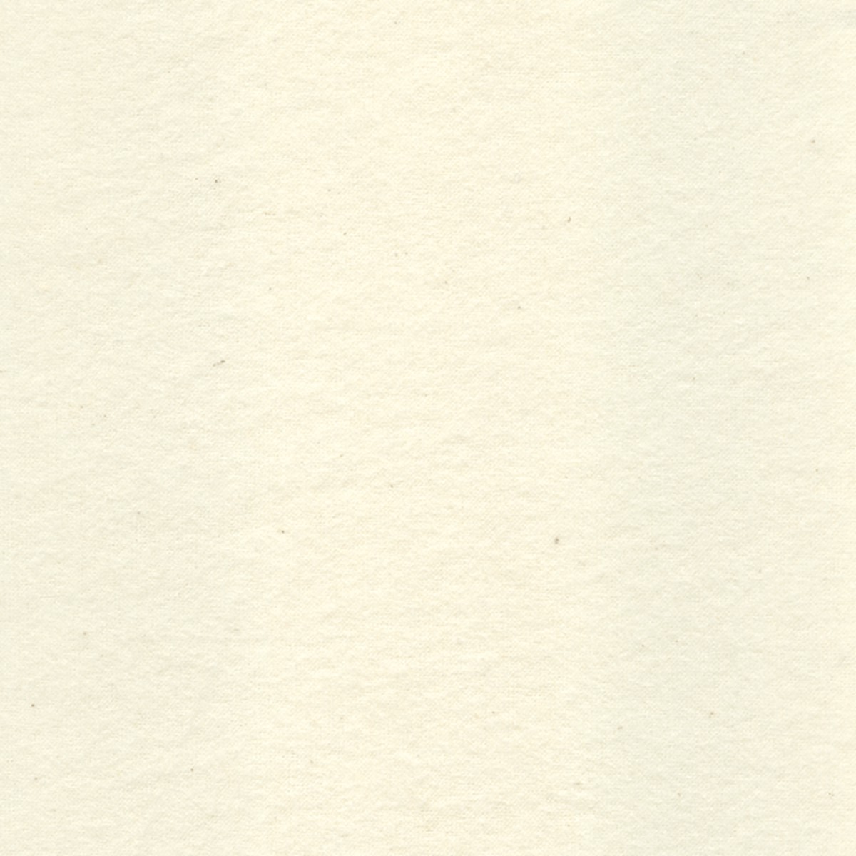 20 YD Bolt-Ivory Cotton Flannel Fabric