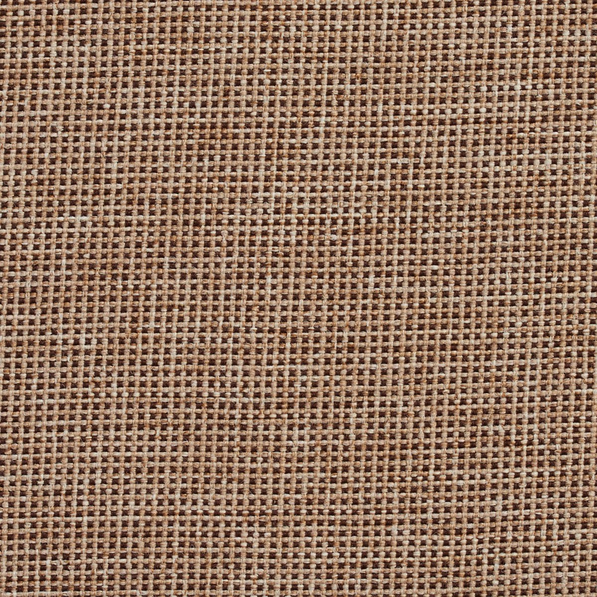 Charlotte Tumbleweed Fabric 3701