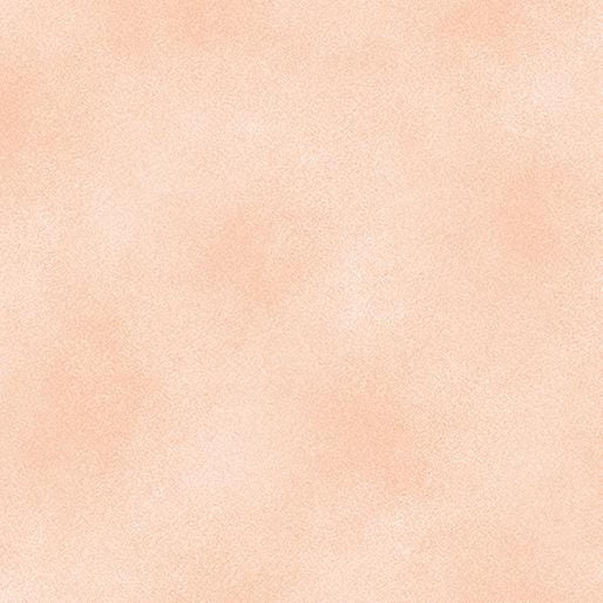 Shadow Blush Basic - Light Peach