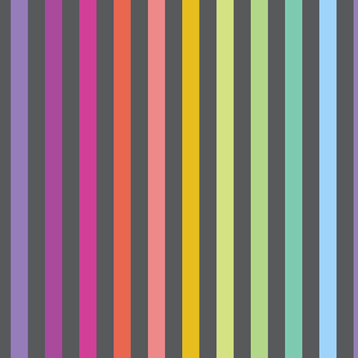 Tula Pink-Disco Stripe - Carbon