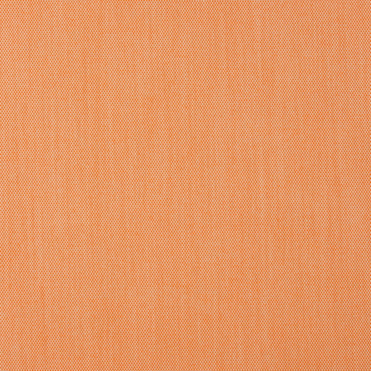 Charlotte - 30010-06 - Fabric by the Yard