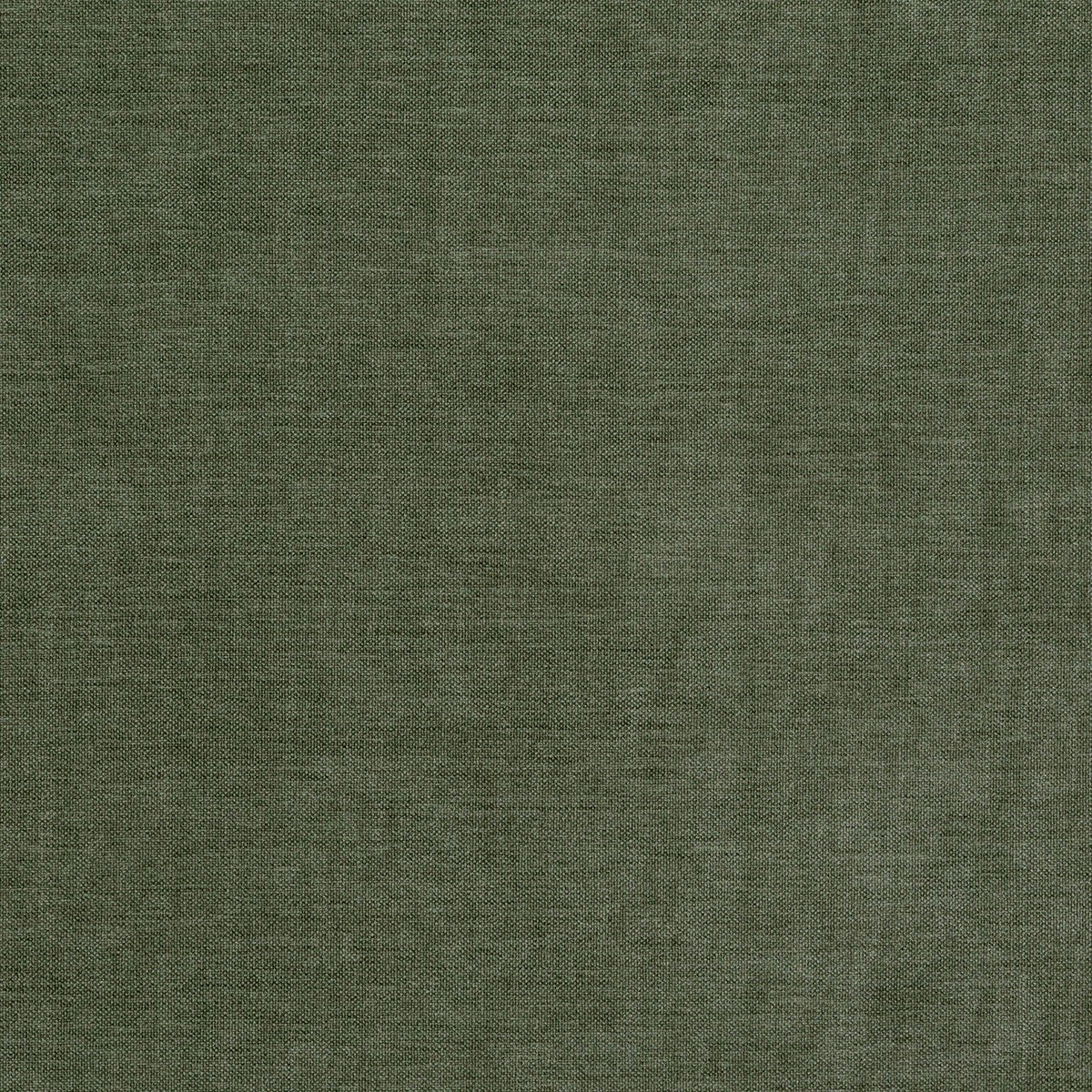 8402 PAXTON-CELADON - Pindler Fabric