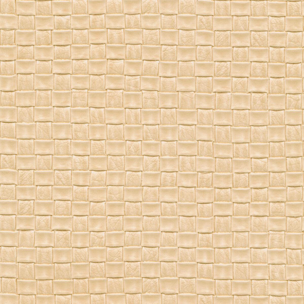 Olia Olia-1101 Fabric