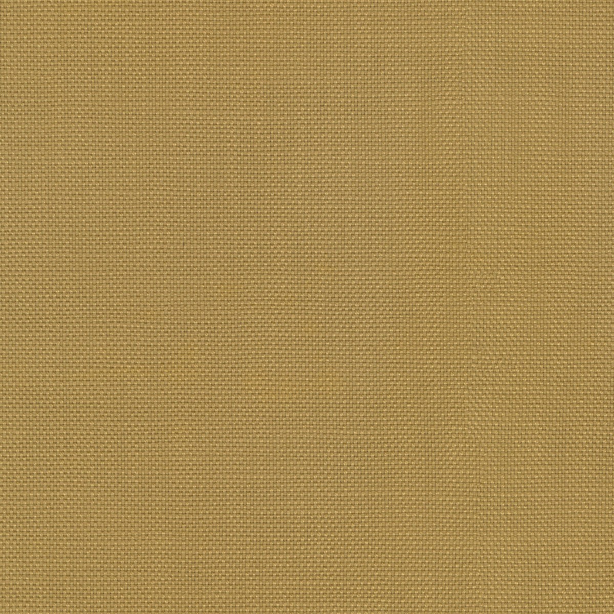 Centro Gold P/K Lifestyles Fabric