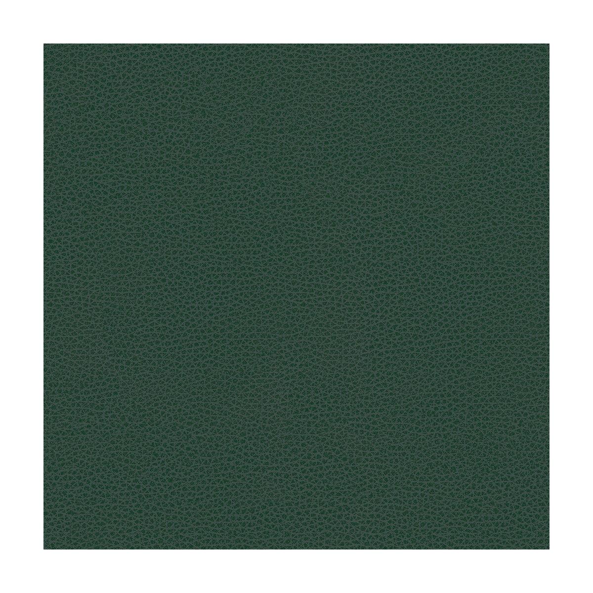 Kravet Contract Bess-5 Fabric
