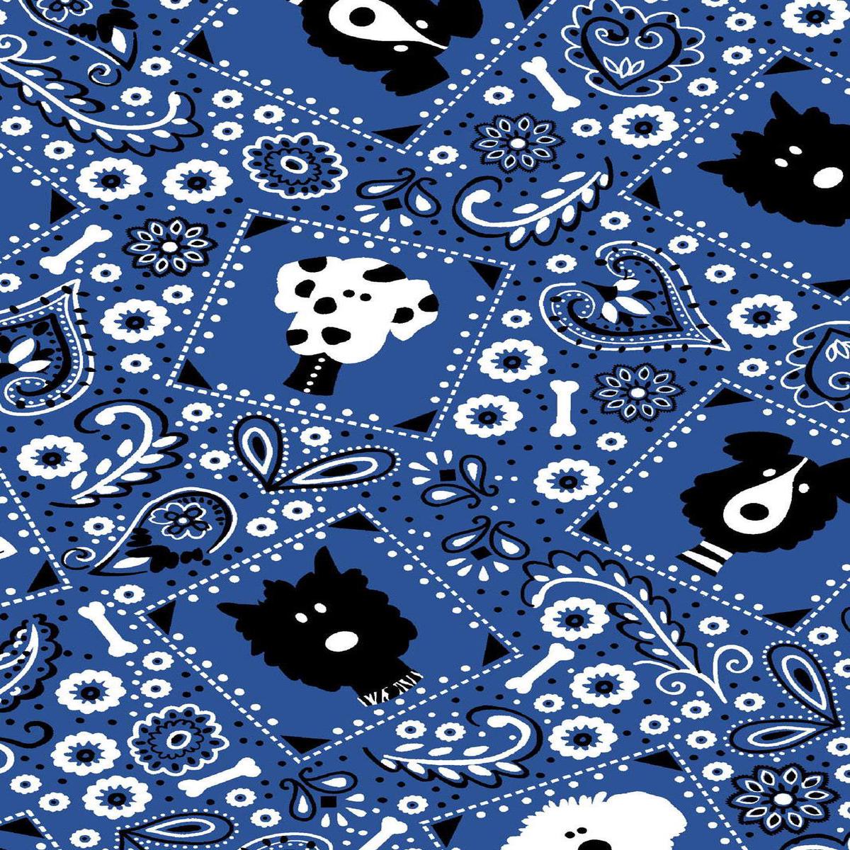 Bow Wow Meow Freckle Bandana Blue / Black