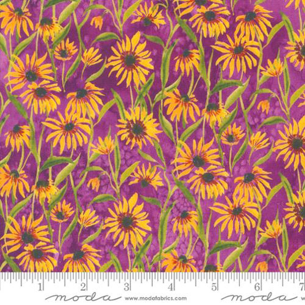 Floribunda-Violet-Blackeyed Suzie Q Florals Sunflowers Watercolor Autumn Fall