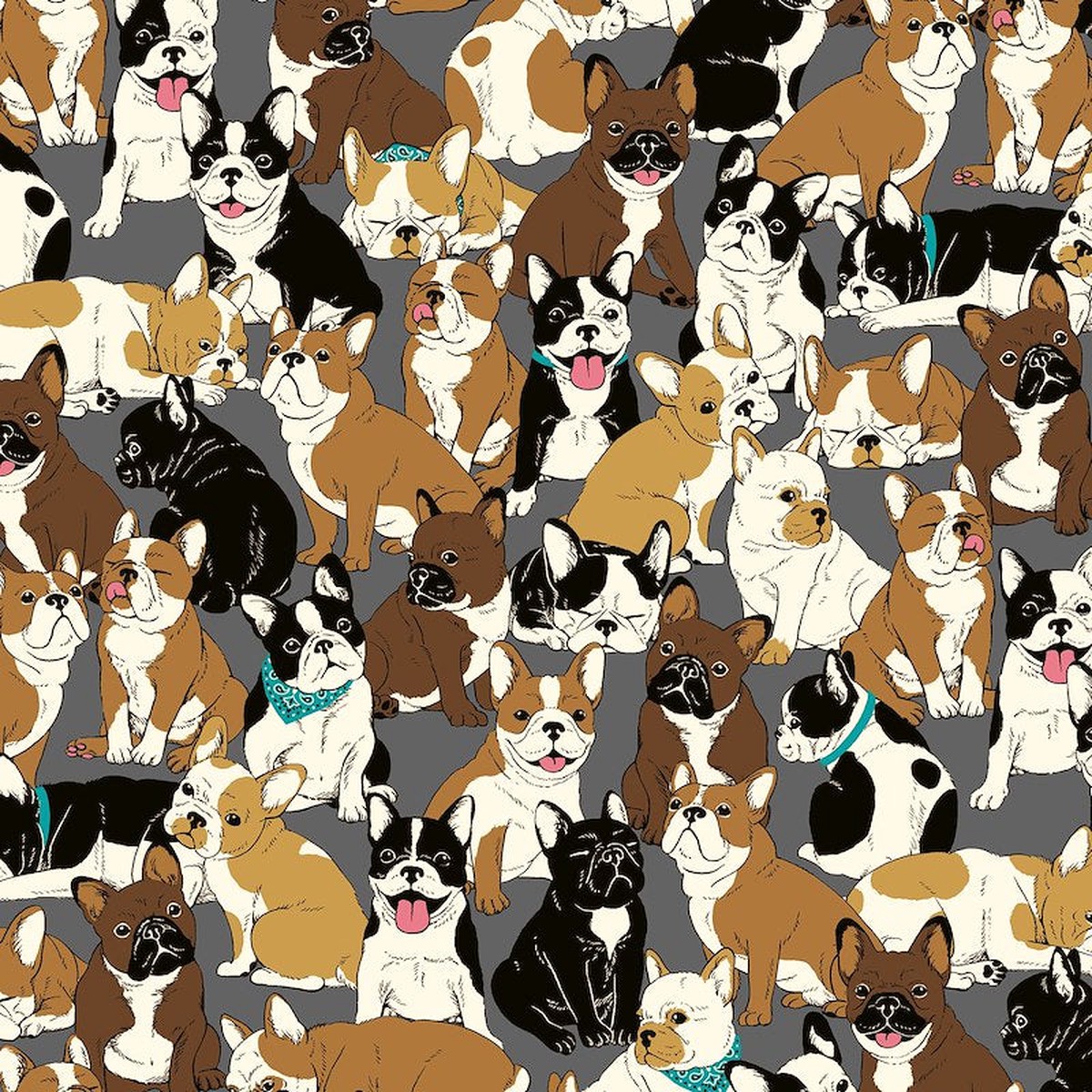 Pets QGAP35406 001D 100% Cotton