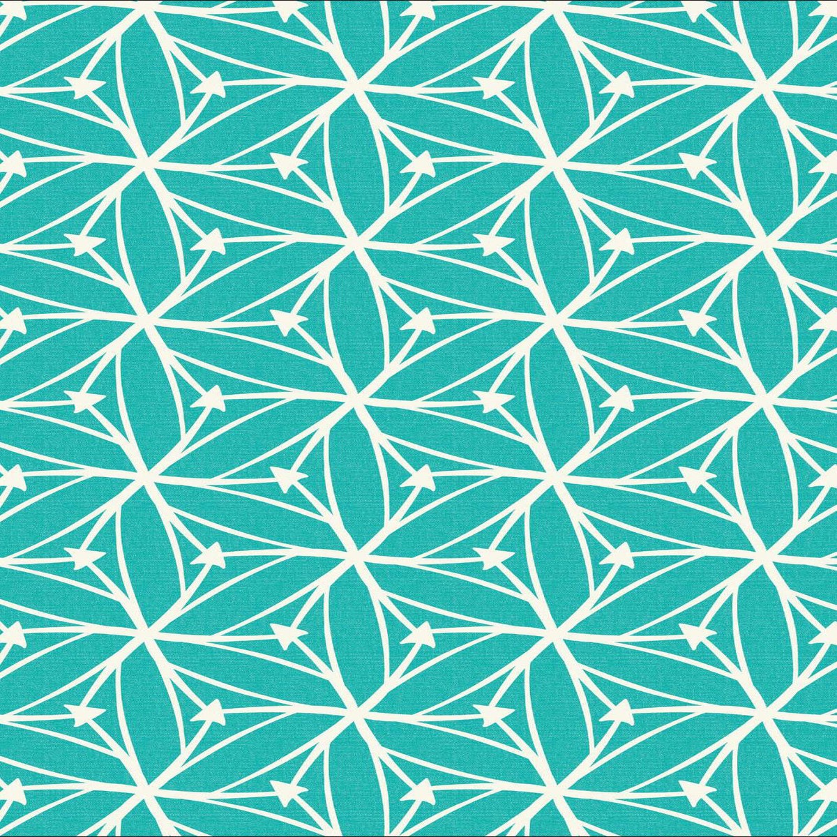 Blast Off Stargazer by Cloud9 Teal / White