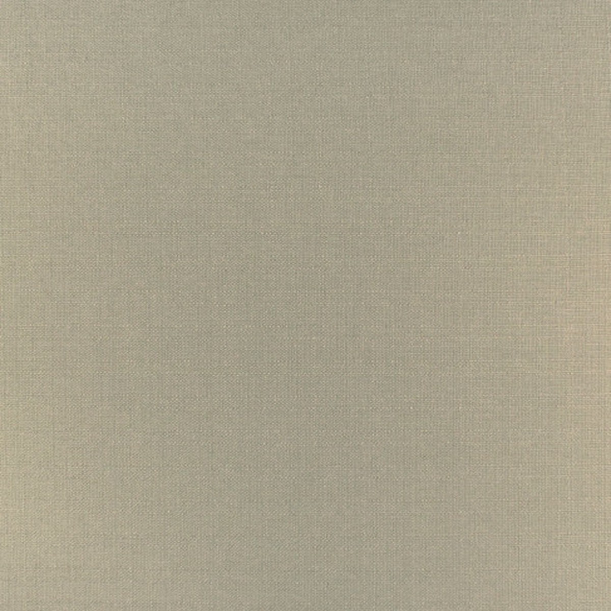 Moola 52301 by Barrow Fabric