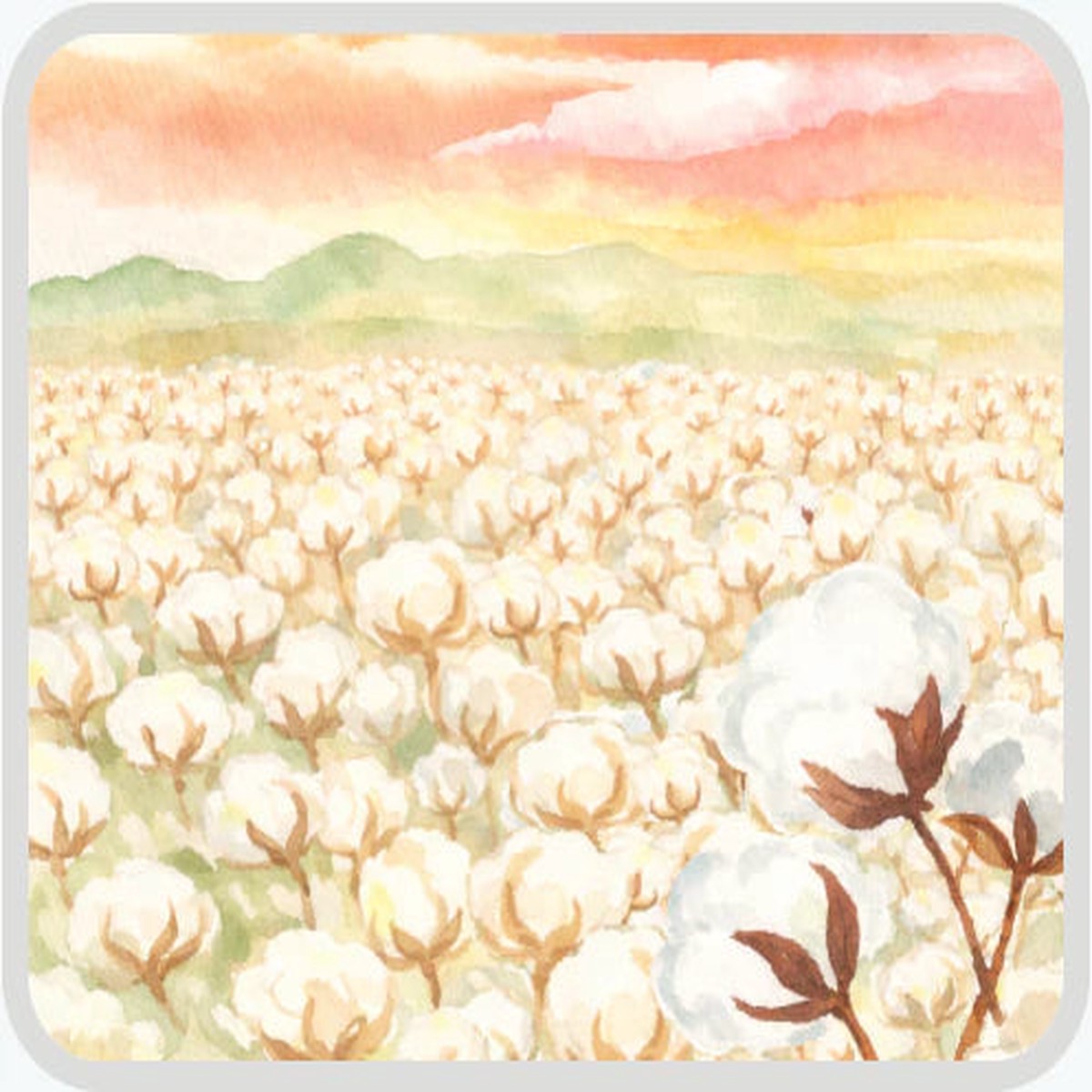 Nine Acres Cotton Quilt Batting - Double 90" x 80" Autumn Mid Weight-Natural