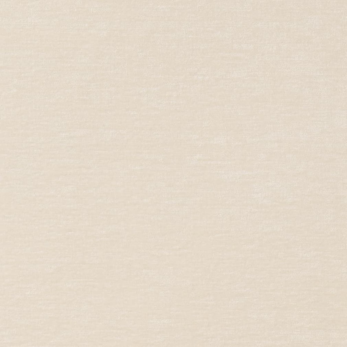Dani Parchment