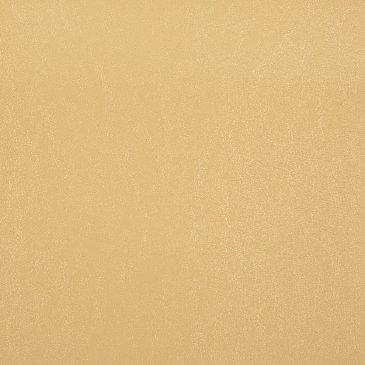 8372 CARTER-PAPYRUS - Pindler Fabric