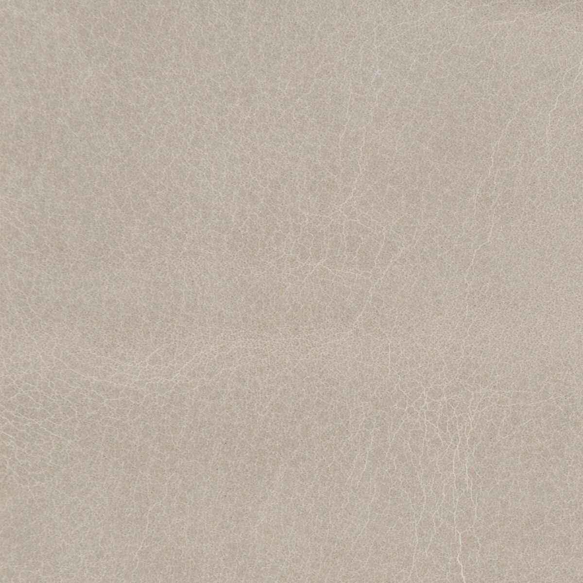 Lhautecement0 Kravet Couture L Haute Cement Kravet Couture Fabric