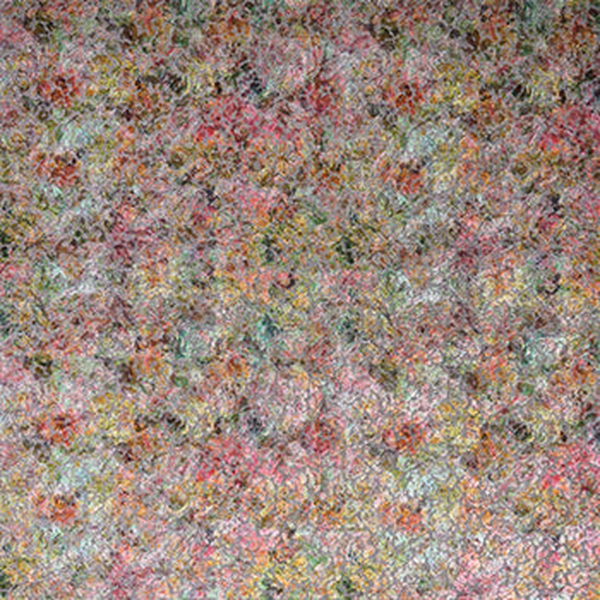 Celesta Carmina Multi - Osborne & Little - F8074-01 Fabric