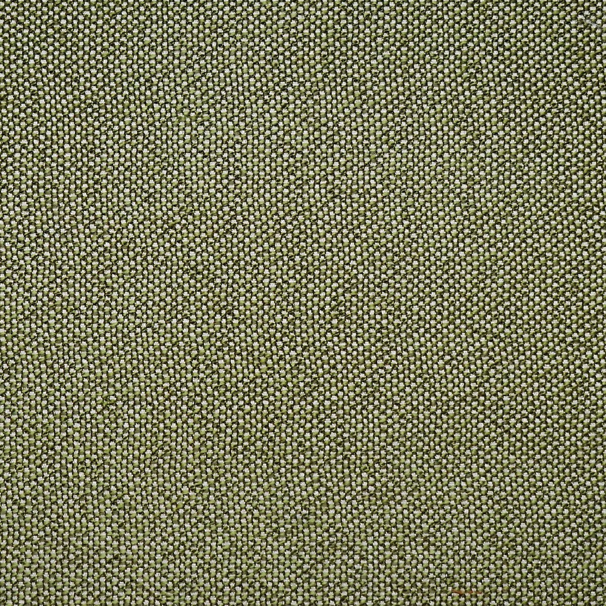 City Tweed - Bonsai by Scalamandre Fabric