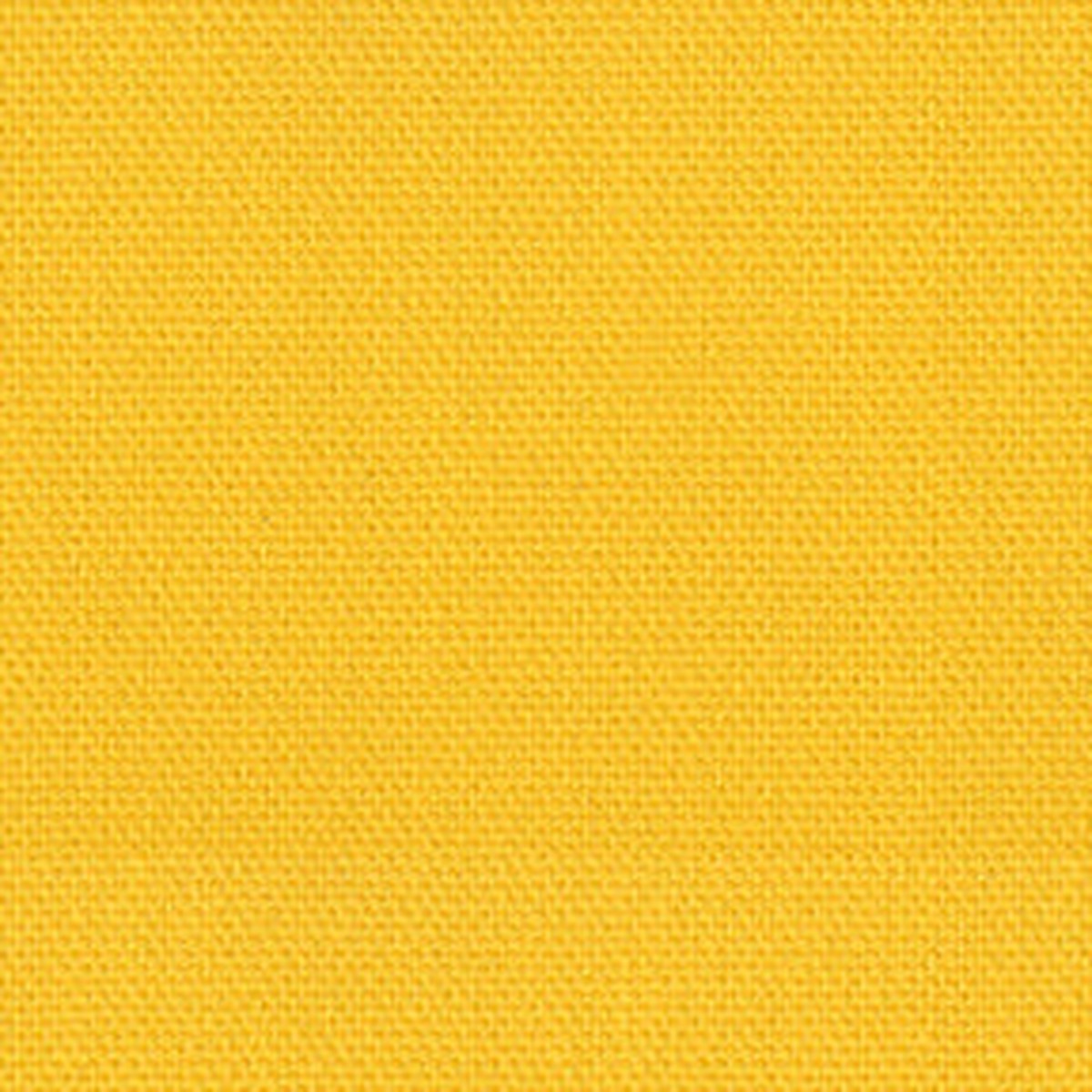 Mallard 2nd Ed. 5 Yellow Fabric