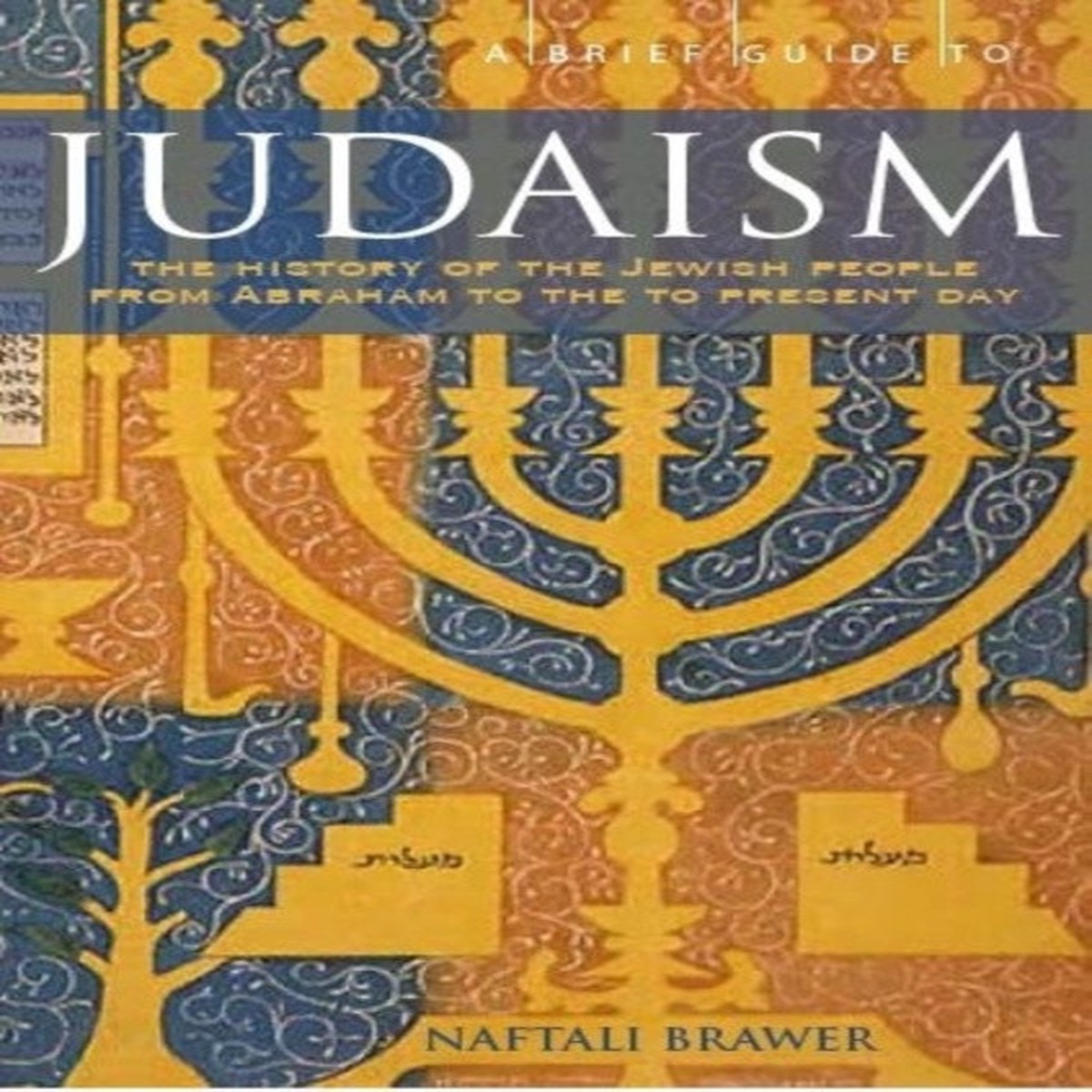 A Brief Guide to Judaism: Theology, History and Practice by Naftali Brawer