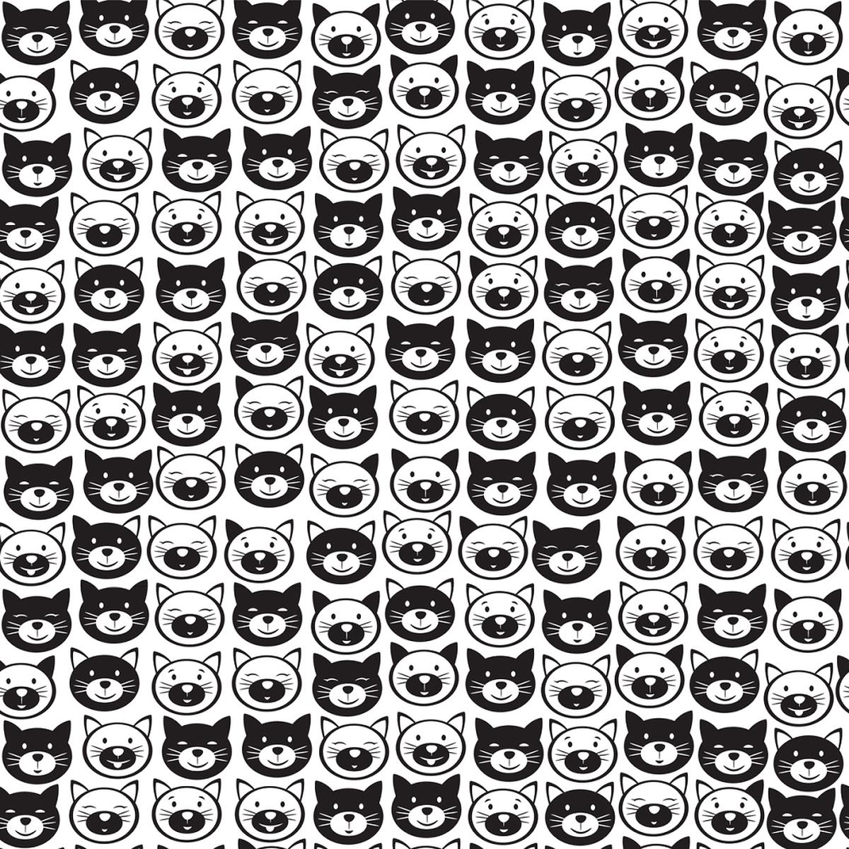 Digitally Printed Cats Fabric