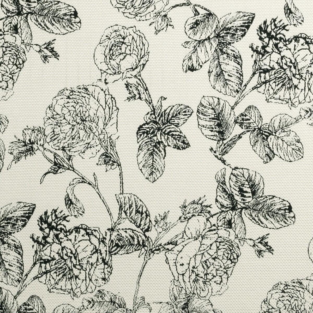 Bw1035 Black/White Fabric