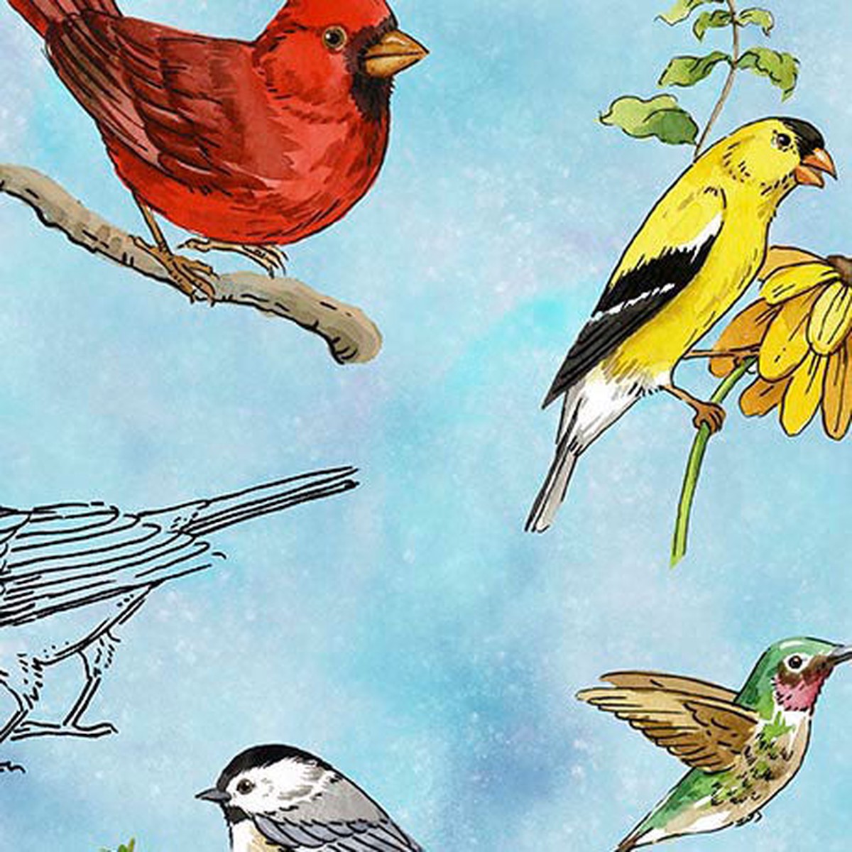 Drawn to Birds - Tossed Birds Sky Blue | 2600-31135-B